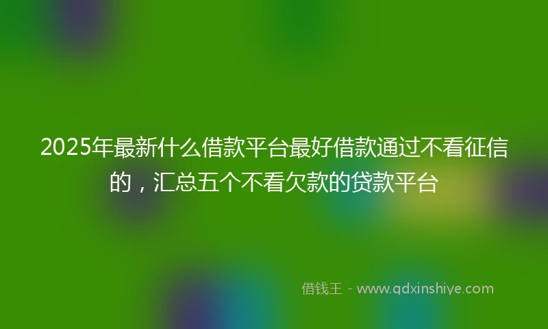 2025年最新什么借款平台最好借款通过不看征信的，汇总五个不看欠款的贷款平台