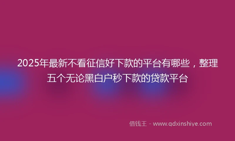 2025年最新不看征信好下款的平台有哪些，整理五个无论黑白户秒下款的贷款平台