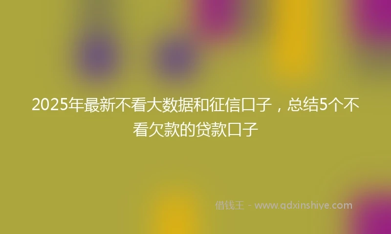 2025年最新不看大数据和征信口子，总结5个不看欠款的贷款口子