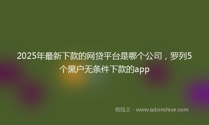 2025年最新下款的网贷平台是哪个公司，罗列5个黑户无条件下款的app