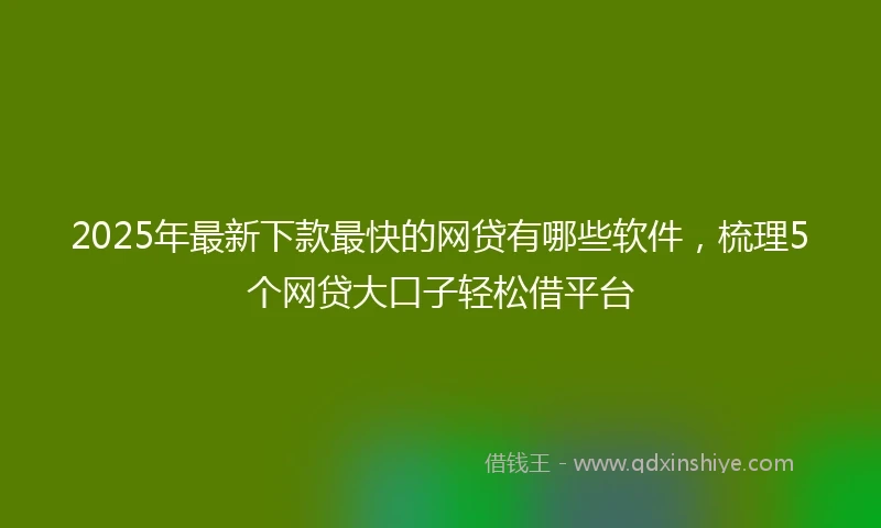 2025年最新下款最快的网贷有哪些软件，梳理5个网贷大口子轻松借平台