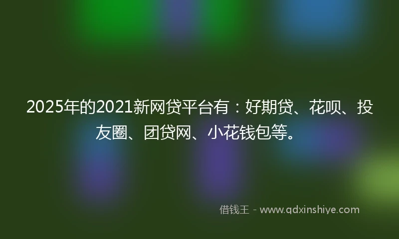 2025年的2021新网贷平台有：好期贷、花呗、投友圈、团贷网、小花钱包等。