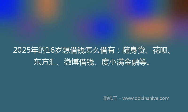 2025年的16岁想借钱怎么借有：随身贷、花呗、东方汇、微博借钱、度小满金融等。