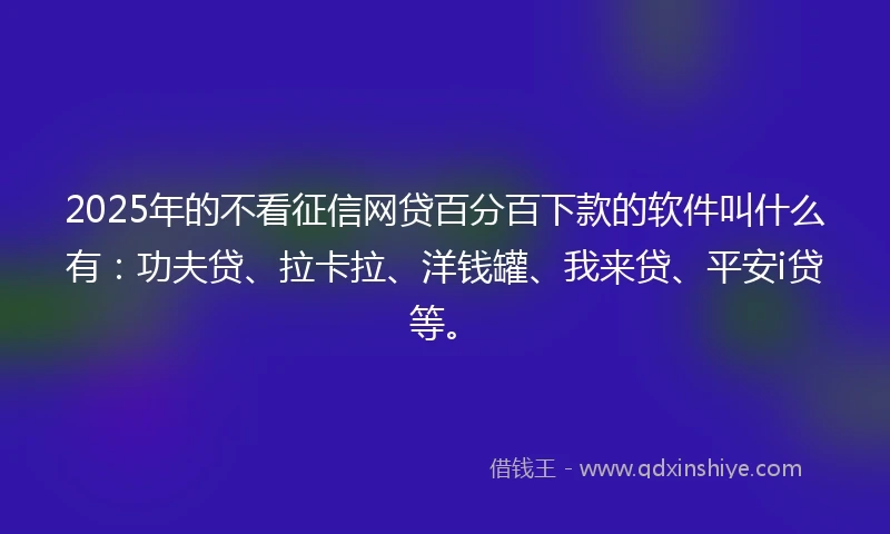 2025年的不看征信网贷百分百下款的软件叫什么有：功夫贷、拉卡拉、洋钱罐、我来贷、平安i贷等。