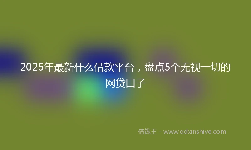 2025年最新什么借款平台，盘点5个无视一切的网贷口子
