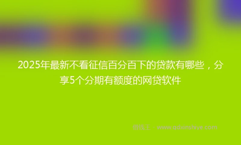 2025年最新不看征信百分百下的贷款有哪些，分享5个分期有额度的网贷软件