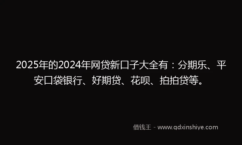 2025年的2024年网贷新口子大全有：分期乐、平安口袋银行、好期贷、花呗、拍拍贷等。