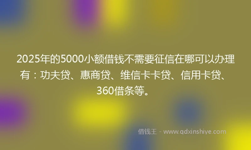 2025年的5000小额借钱不需要征信在哪可以办理有：功夫贷、惠商贷、维信卡卡贷、信用卡贷、360借条等。