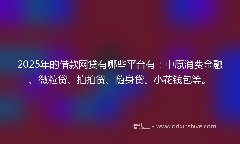 2025年的借款网贷有哪些平台有：中原消费金融、微粒贷、拍拍贷、随身贷、小花钱包等。