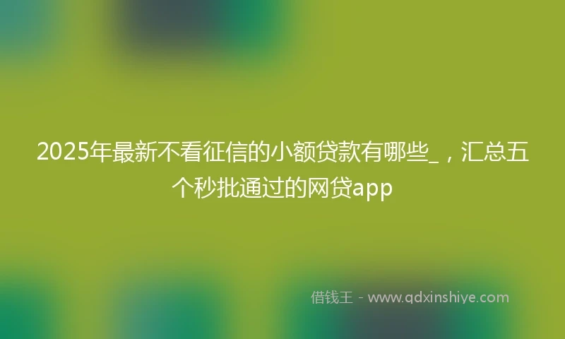 2025年最新不看征信的小额贷款有哪些_，汇总五个秒批通过的网贷app
