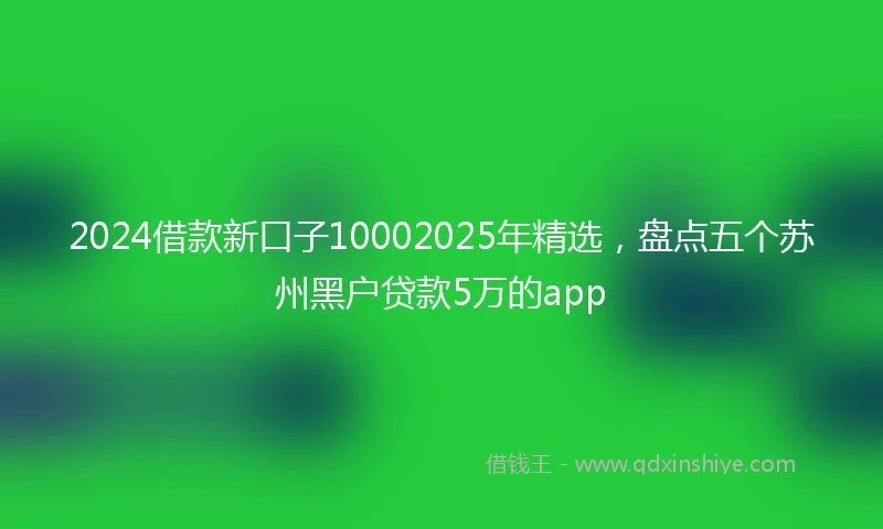 2024借款新口子10002025年精选，盘点五个苏州黑户贷款5万的app