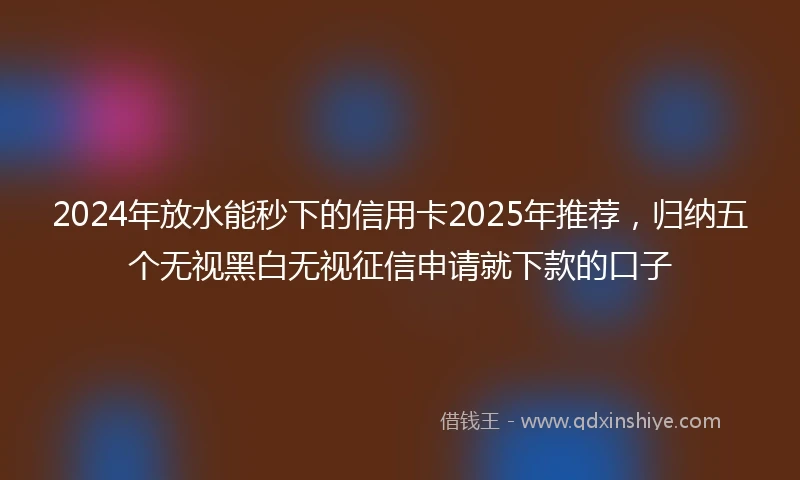 2024年放水能秒下的信用卡2025年推荐，归纳五个无视黑白无视征信申请就下款的口子