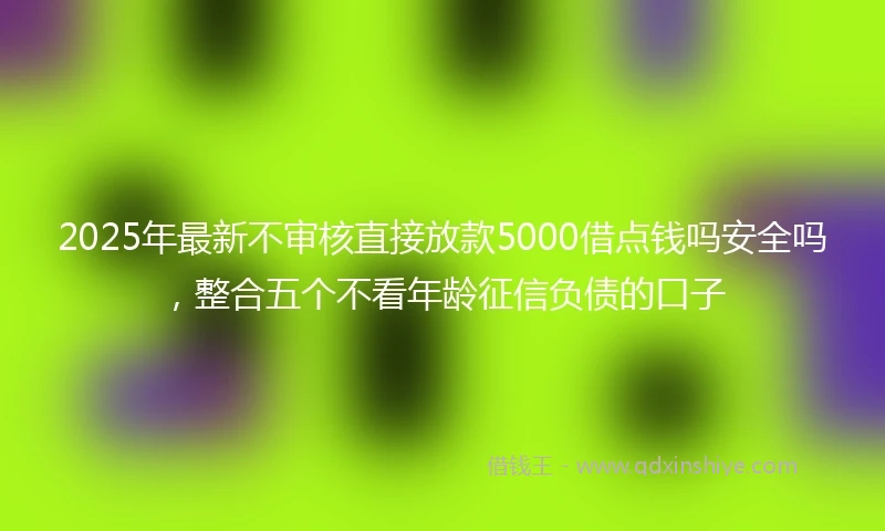2025年最新不审核直接放款5000借点钱吗安全吗，整合五个不看年龄征信负债的口子