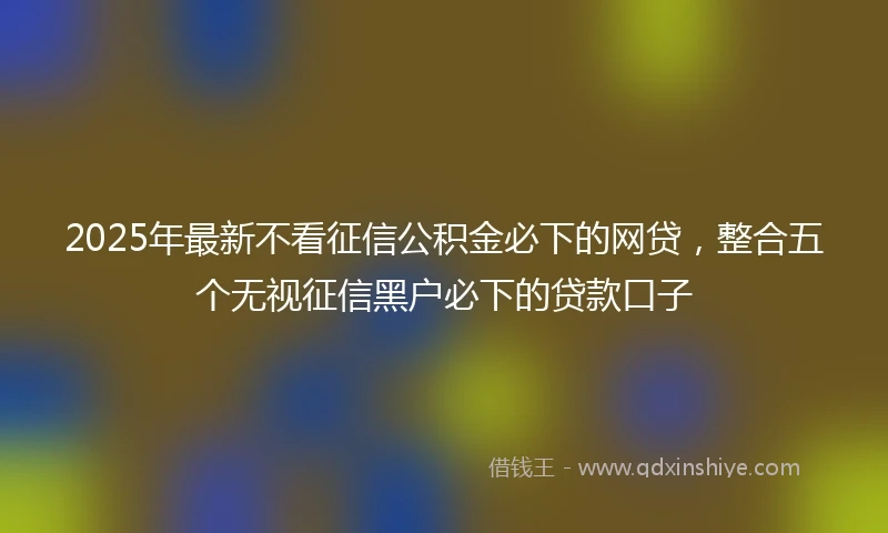 2025年最新不看征信公积金必下的网贷，整合五个无视征信黑户必下的贷款口子