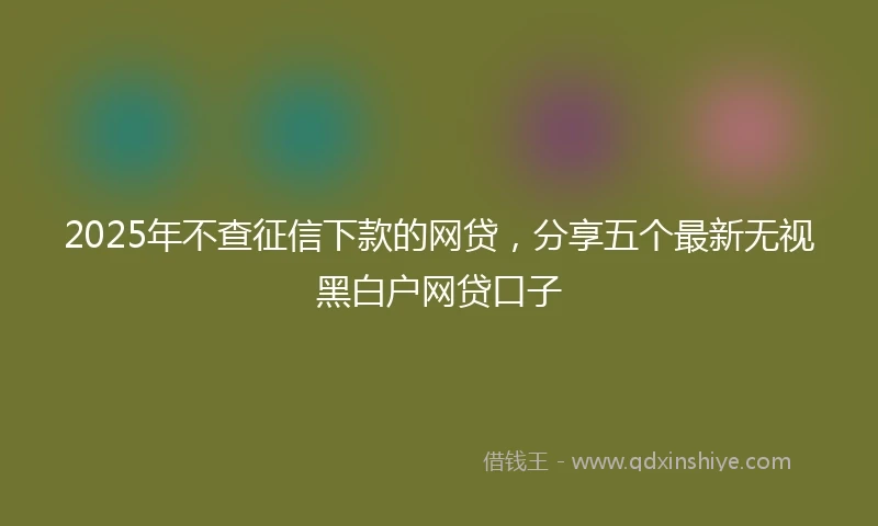 2025年不查征信下款的网贷，分享五个最新无视黑白户网贷口子
