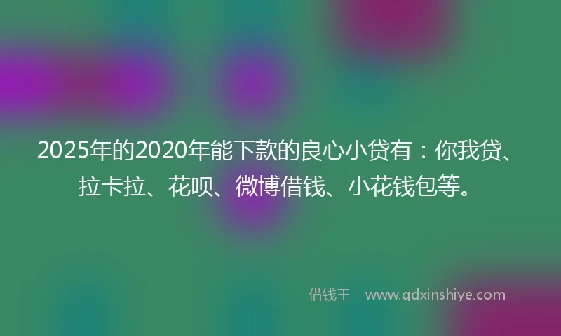 2025年的2020年能下款的良心小贷有：你我贷、拉卡拉、花呗、微博借钱、小花钱包等。