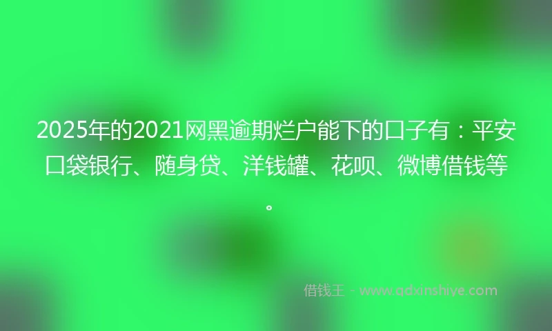 2025年的2021网黑逾期烂户能下的口子有：平安口袋银行、随身贷、洋钱罐、花呗、微博借钱等。