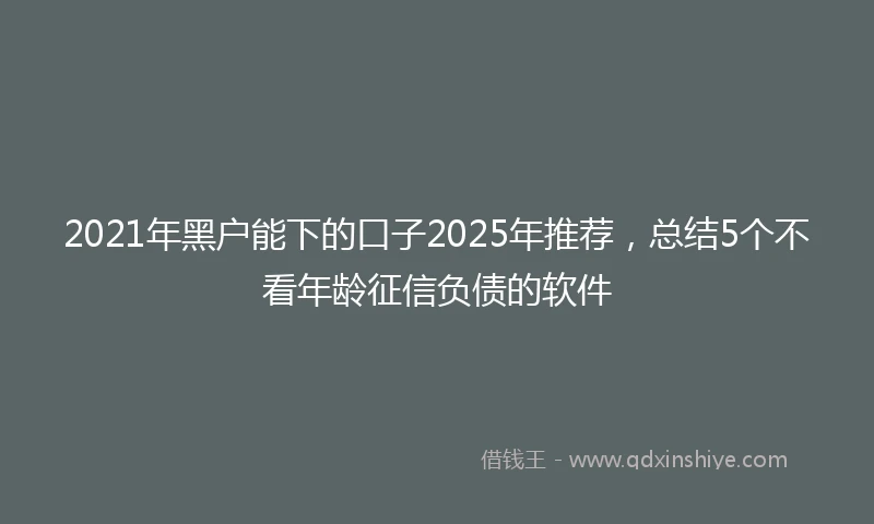 2021年黑户能下的口子2025年推荐，总结5个不看年龄征信负债的软件