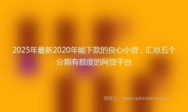 2025年最新2020年能下款的良心小贷，汇总五个分期有额度的网贷平台