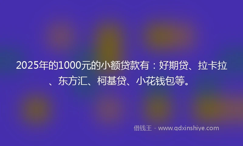 2025年的1000元的小额贷款有：好期贷、拉卡拉、东方汇、柯基贷、小花钱包等。