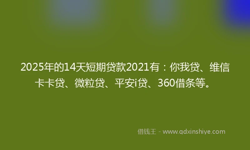2025年的14天短期贷款2021有：你我贷、维信卡卡贷、微粒贷、平安i贷、360借条等。