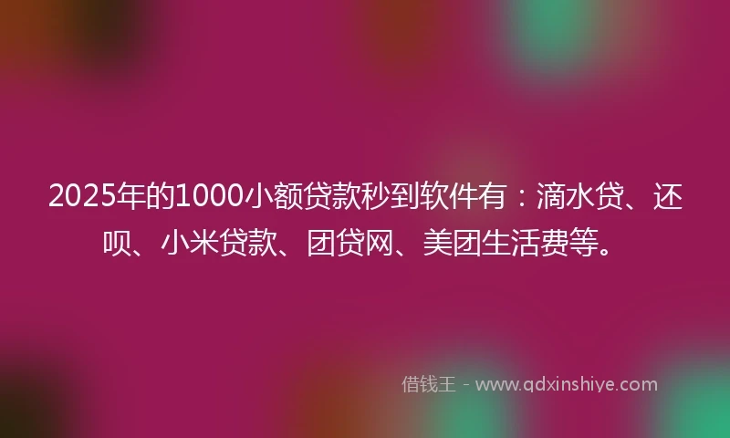 2025年的1000小额贷款秒到软件有：滴水贷、还呗、小米贷款、团贷网、美团生活费等。