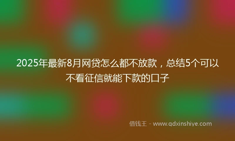 2025年最新8月网贷怎么都不放款，总结5个可以不看征信就能下款的口子