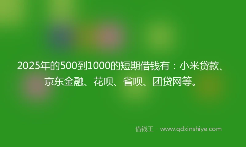2025年的500到1000的短期借钱有：小米贷款、京东金融、花呗、省呗、团贷网等。
