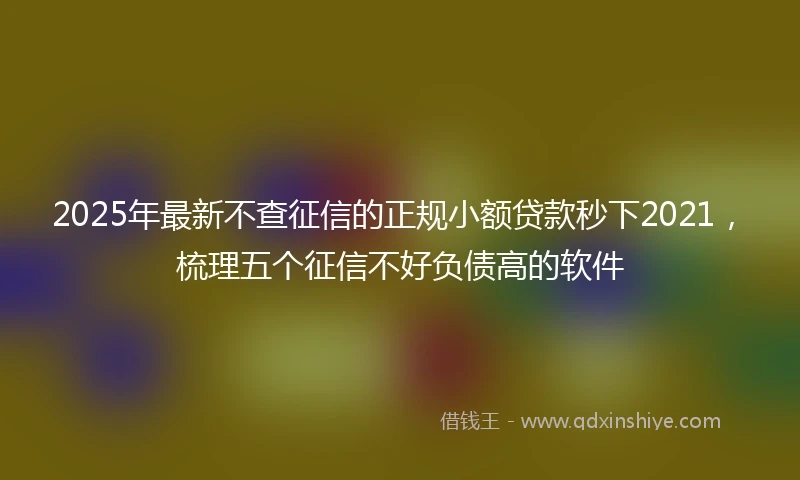 2025年最新不查征信的正规小额贷款秒下2021，梳理五个征信不好负债高的软件