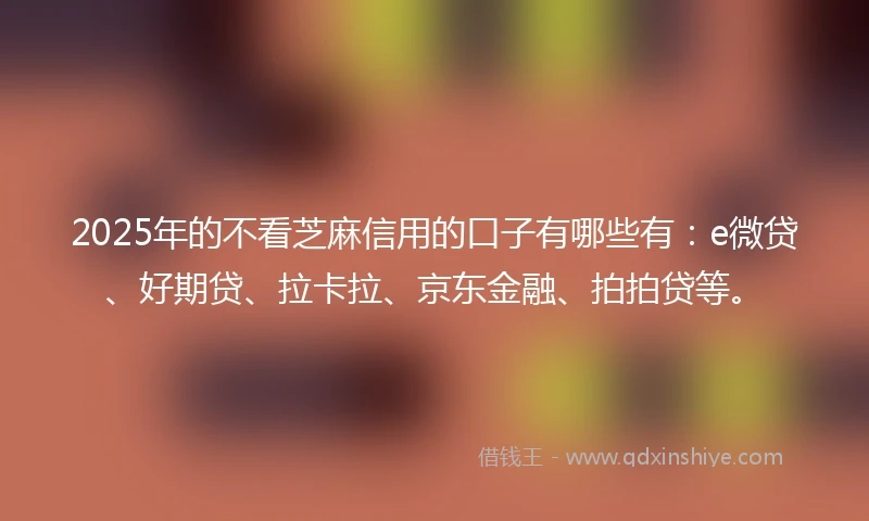 2025年的不看芝麻信用的口子有哪些有：e微贷、好期贷、拉卡拉、京东金融、拍拍贷等。