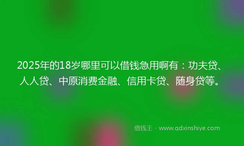 2025年的18岁哪里可以借钱急用啊有：功夫贷、人人贷、中原消费金融、信用卡贷、随身贷等。