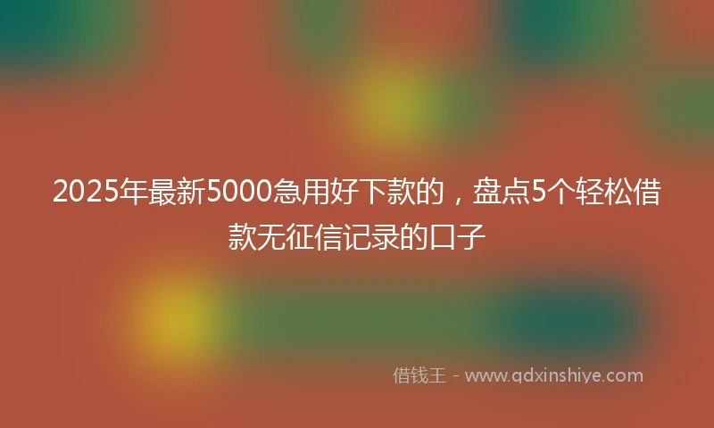 2025年最新5000急用好下款的，盘点5个轻松借款无征信记录的口子