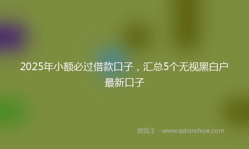 2025年小额必过借款口子，汇总5个无视黑白户最新口子