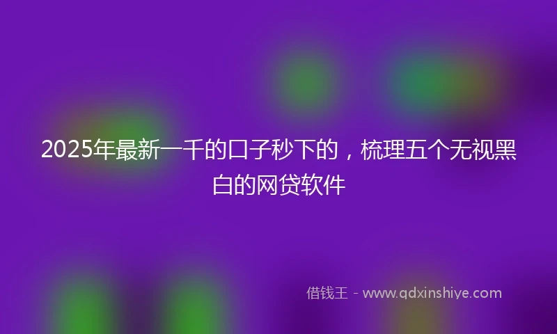 2025年最新一千的口子秒下的，梳理五个无视黑白的网贷软件