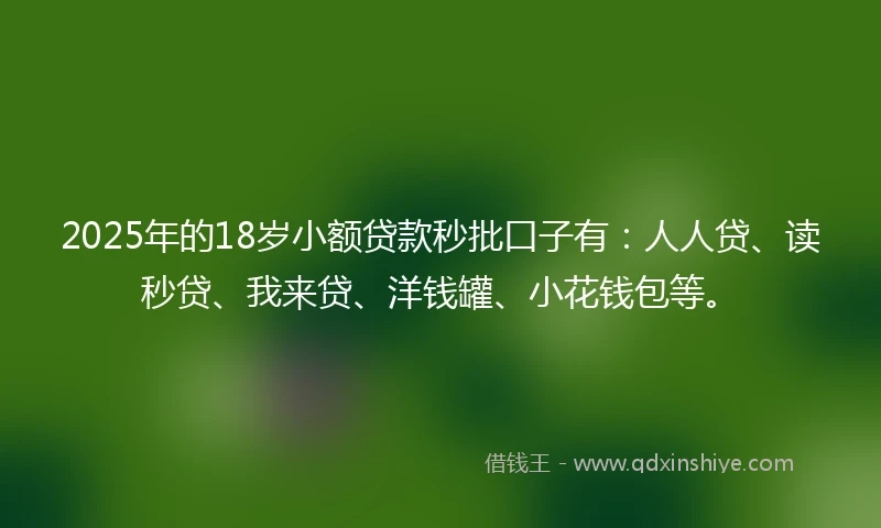 2025年的18岁小额贷款秒批口子有：人人贷、读秒贷、我来贷、洋钱罐、小花钱包等。