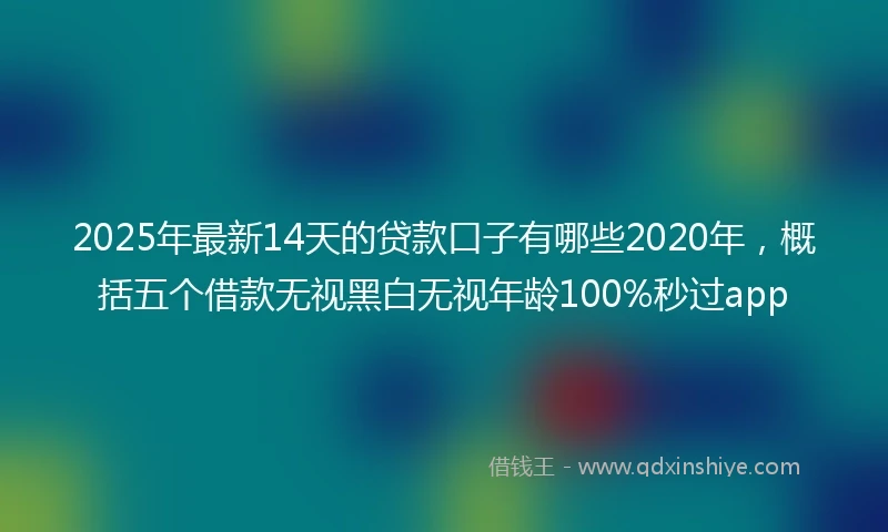 2025年最新14天的贷款口子有哪些2020年，概括五个借款无视黑白无视年龄100%秒过app
