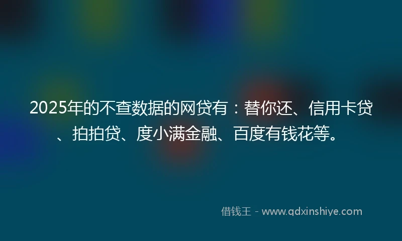 2025年的不查数据的网贷有：替你还、信用卡贷、拍拍贷、度小满金融、百度有钱花等。