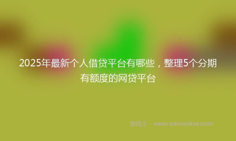 2025年最新个人借贷平台有哪些，整理5个分期有额度的网贷平台