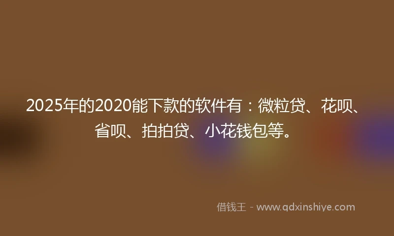 2025年的2020能下款的软件有：微粒贷、花呗、省呗、拍拍贷、小花钱包等。
