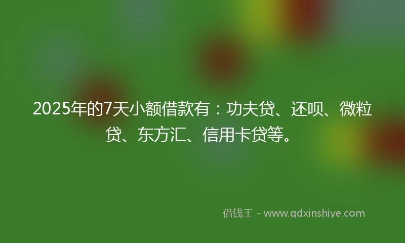 2025年的7天小额借款有：功夫贷、还呗、微粒贷、东方汇、信用卡贷等。