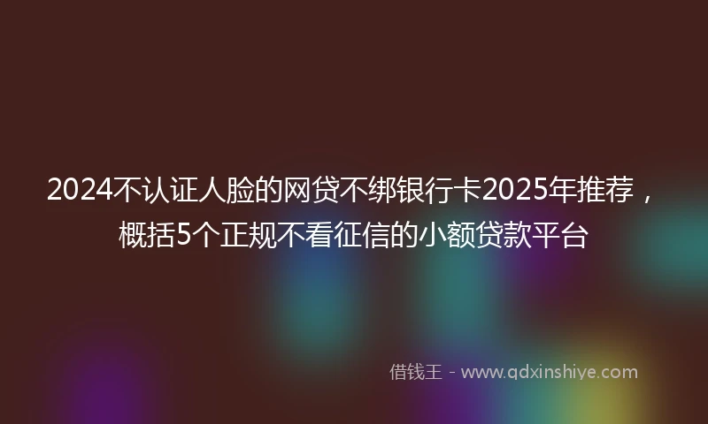 2024不认证人脸的网贷不绑银行卡2025年推荐，概括5个正规不看征信的小额贷款平台