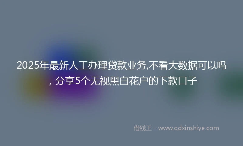 2025年最新人工办理贷款业务,不看大数据可以吗，分享5个无视黑白花户的下款口子