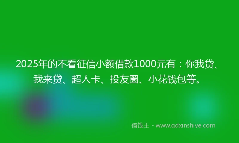 2025年的不看征信小额借款1000元有：你我贷、我来贷、超人卡、投友圈、小花钱包等。