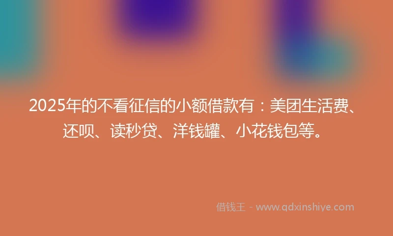 2025年的不看征信的小额借款有：美团生活费、还呗、读秒贷、洋钱罐、小花钱包等。