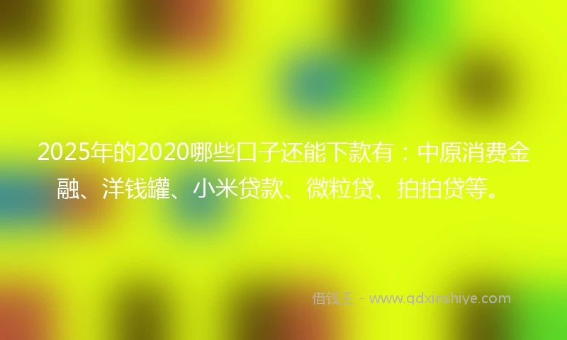 2025年的2020哪些口子还能下款有：中原消费金融、洋钱罐、小米贷款、微粒贷、拍拍贷等。
