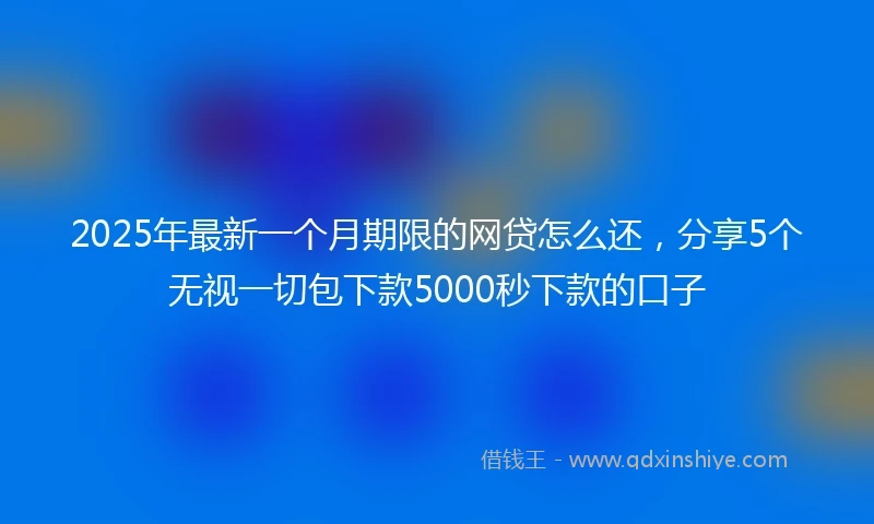 2025年最新一个月期限的网贷怎么还，分享5个无视一切包下款5000秒下款的口子
