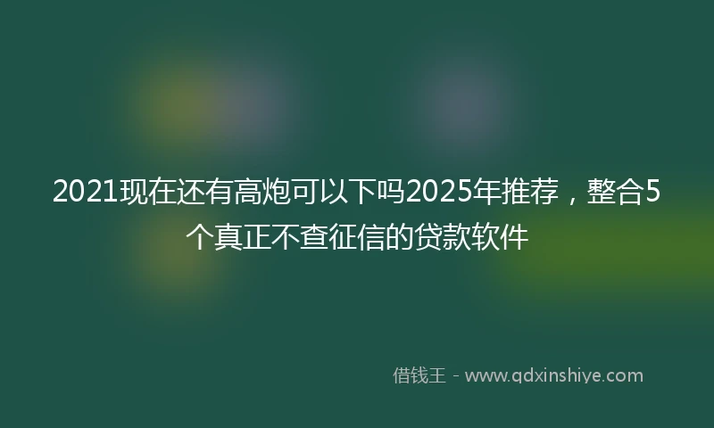 2021现在还有高炮可以下吗2025年推荐，整合5个真正不查征信的贷款软件