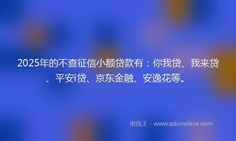 2025年的不查征信小额贷款有：你我贷、我来贷、平安i贷、京东金融、安逸花等。
