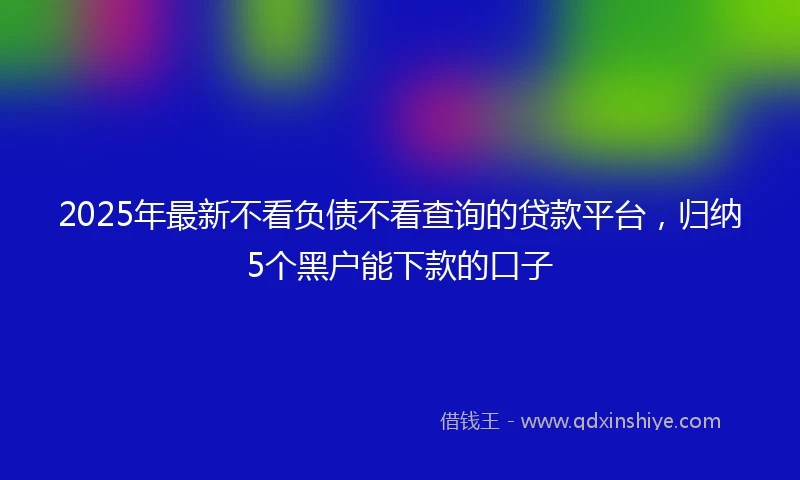 2025年最新不看负债不看查询的贷款平台，归纳5个黑户能下款的口子