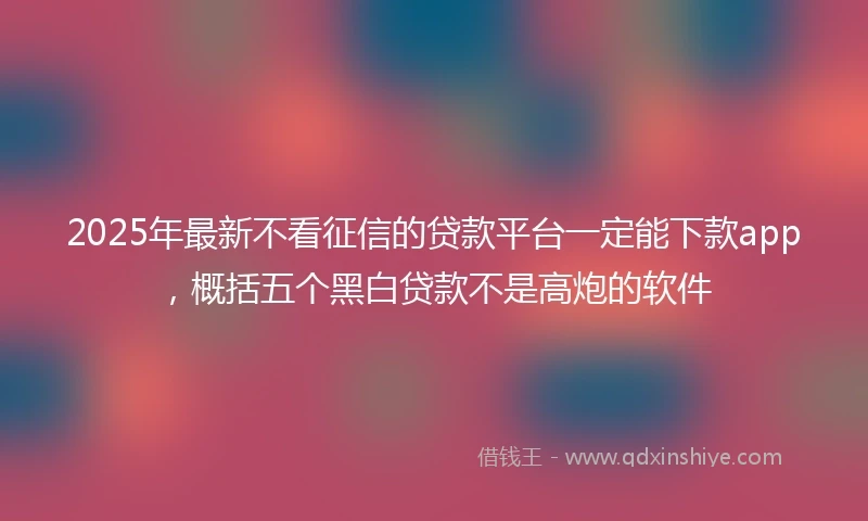 2025年最新不看征信的贷款平台一定能下款app，概括五个黑白贷款不是高炮的软件